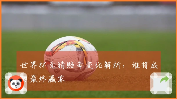 世界杯竞猜赔率变化解析，谁将成为最终赢家